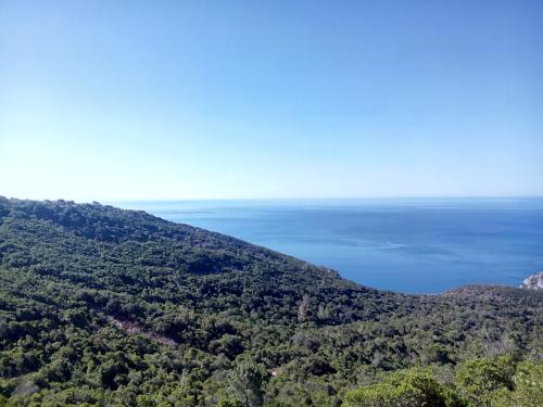 arr&aacute;bida.jpg