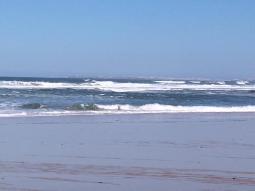 IMG_20220306_105646.jpg