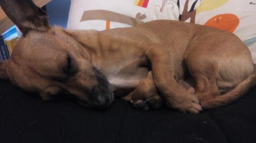 a dormir.jpg