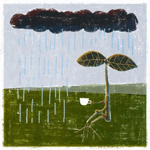 Micro contos - A ventania