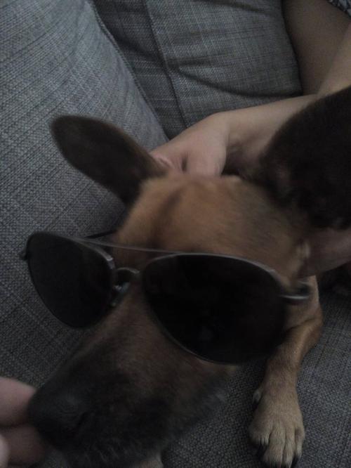 Ginjas Bond