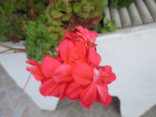 IMG_8860.JPG IMG_8860.JPG
