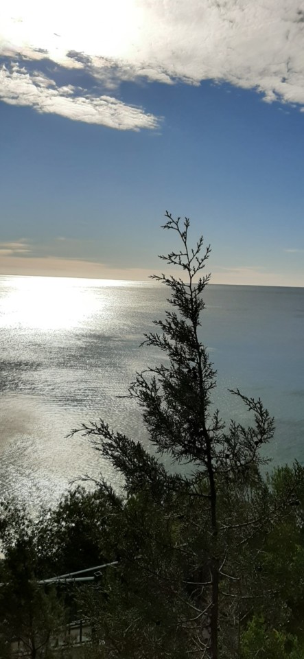 Serra da Arrábida, 24 de Dezembro de 2020