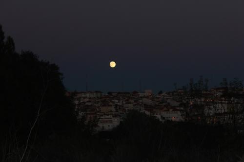 IMG_8603.JPG