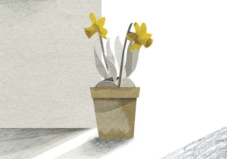 casa1.gif