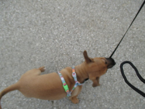 passeio 1.JPG passeio 1.JPG