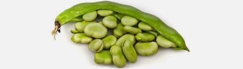 favas.jpg
