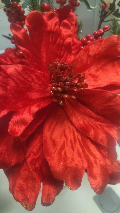 Desejos de Natal