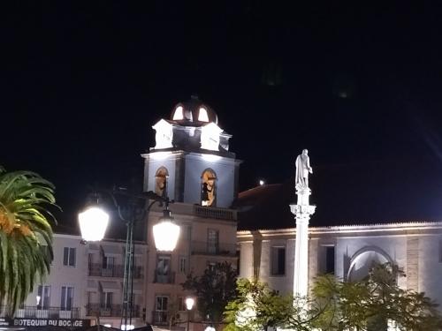 "Gin sem tónica"