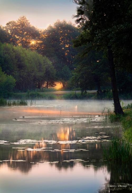 amanhecer.jpg