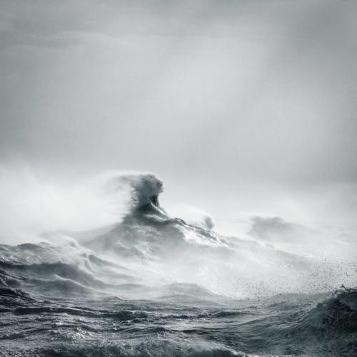 Fotógrafos de Natureza - Rachael Talibart