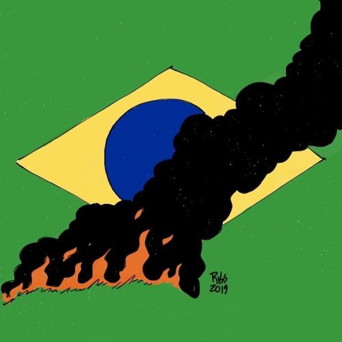 brasil a arder.jpg