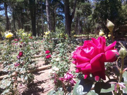 Onde fica este maravilhoso Jardim?