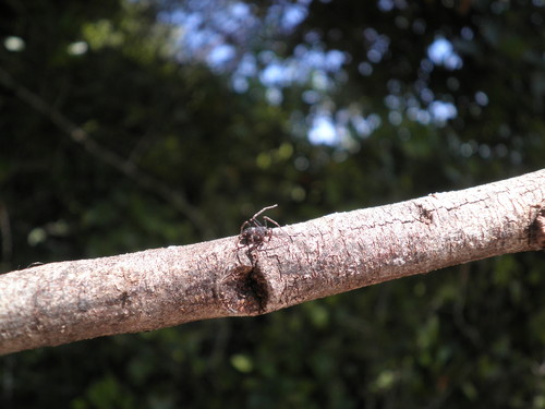 Equilíbrio