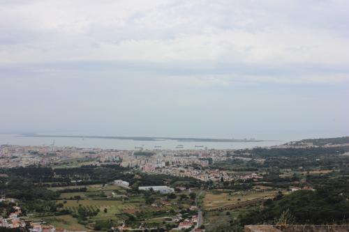 set&uacute;bal.JPG