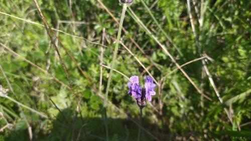 IMG_20231206_110935.jpg