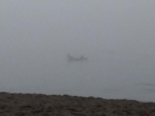 IMG_20210926_100107.jpg