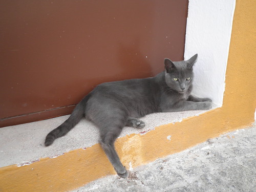 Tempos de ócio