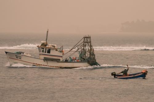 poeiras1.jpg