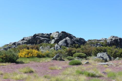 IMG_3990.JPG