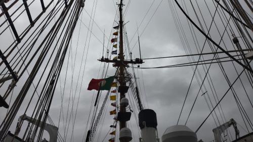 IMG_20221022_110622.jpg