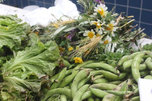 favas.JPG favas.JPG