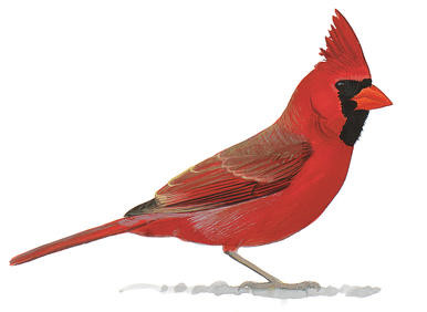 p3.jpg