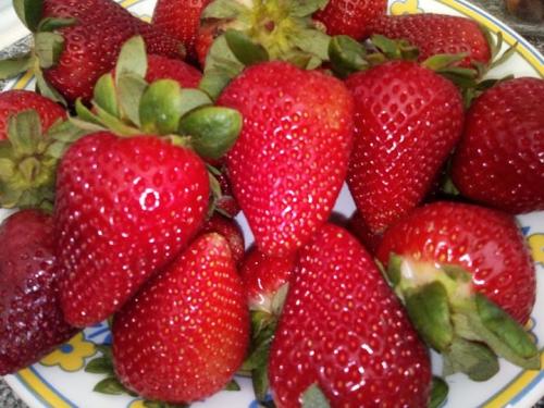 Fruta