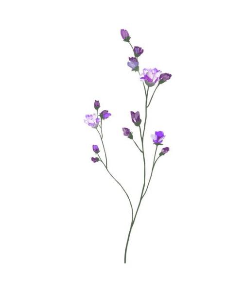 flor lil&aacute;s3.jpg