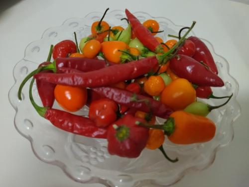 Picante