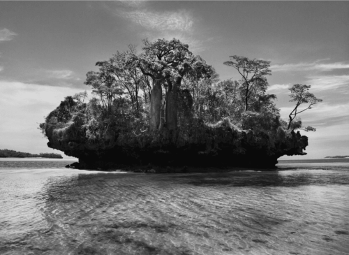 Sebastião-Salgado.png Sebastião-Salgado.png