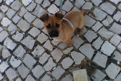 IMG0552A.jpg