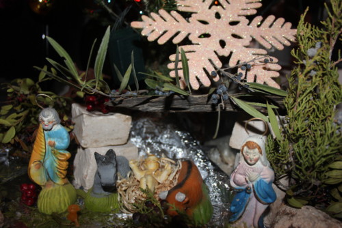 IMG_7646.JPG IMG_7646.JPG