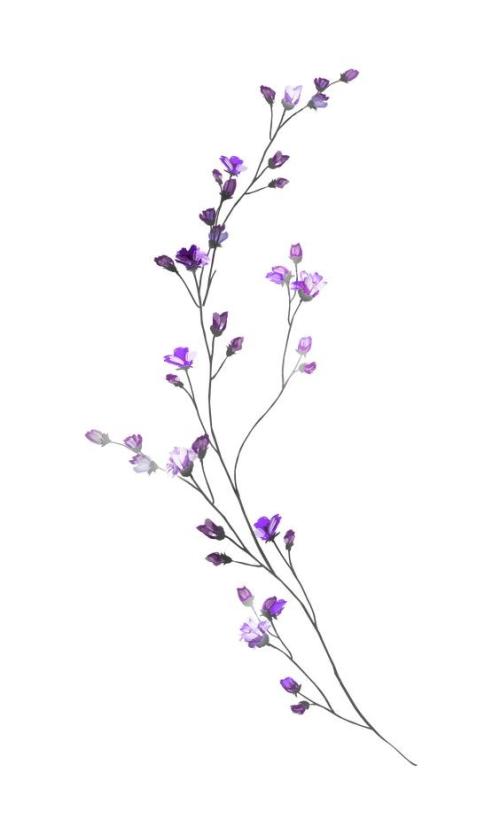 flor lil&aacute;s.jpg