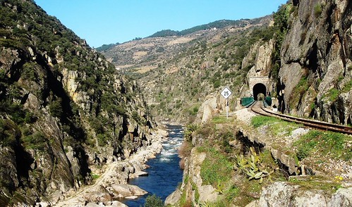 Governo autoriza abate de milhares de sobreiros e azinheiras para viabilizar barragem da Foz do Tua