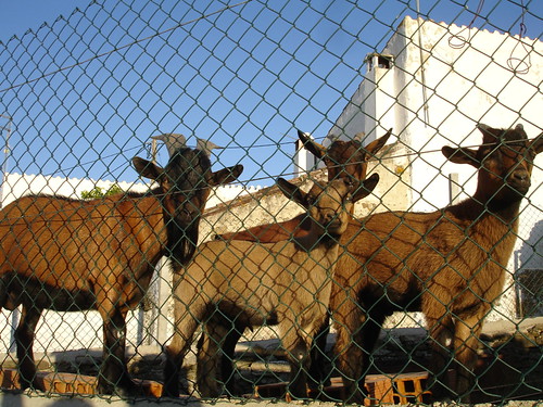 Família unida
