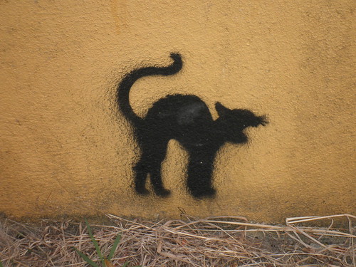 Coitados dos gatos pretos