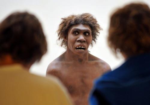 neandertal.jpg