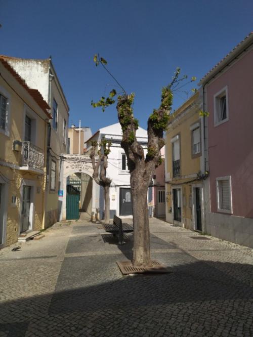 IMG_20220211_124908.jpg