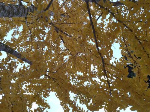 IMG_20211205_113017.jpg