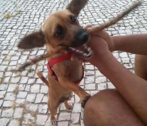 sorriso grande.jpeg