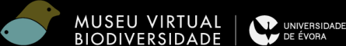 Museu Virtual Biodiversidade