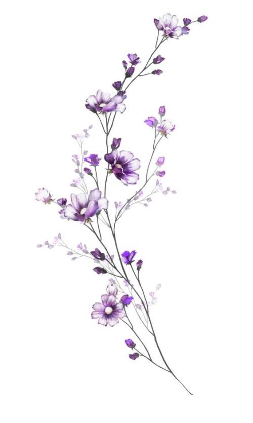 flor lil&aacute;s4.jpg