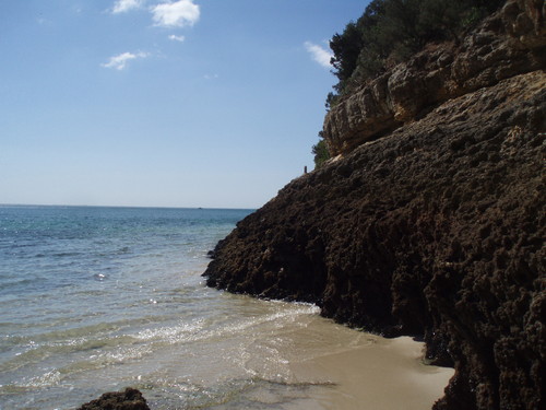 mar.JPG