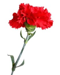 abril.jpg