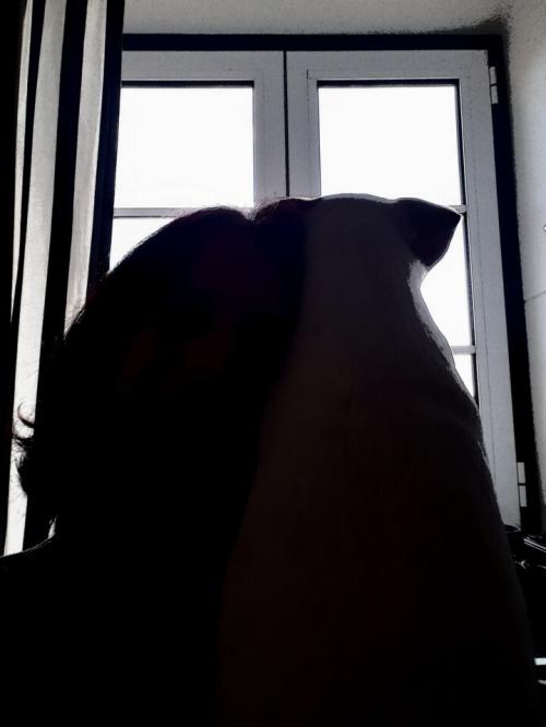20220222_000259.jpg