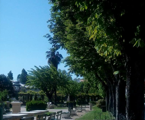 Do meu jardim