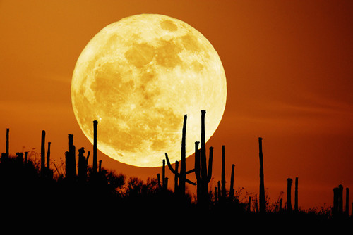 sexta20mar2015_superlua.jpg