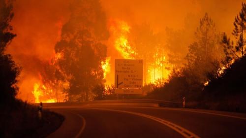 incendio_pedrogao_grande_foto_paulo_cunha_lusa_486 incendio_pedrogao_grande_foto_paulo_cunha_lusa_486