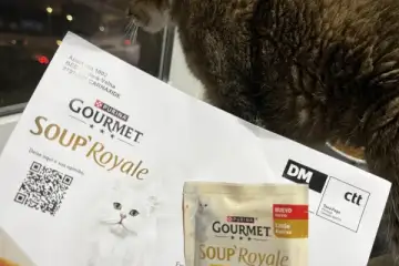 Recebida amostra GOURMET Soup Royale